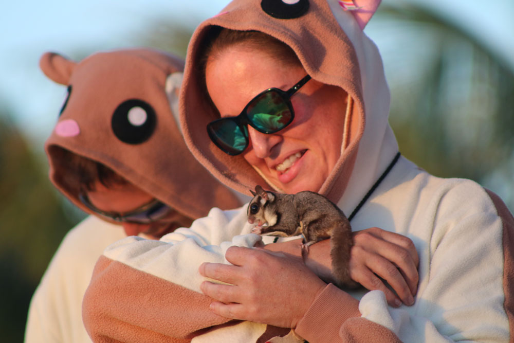 Pet Masquerade 2018 photo - Duval Street, Key West